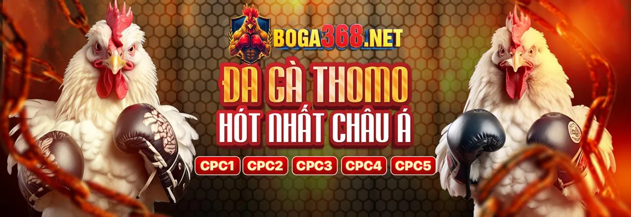 Đá Gà Trực Tuyến K9Win Code